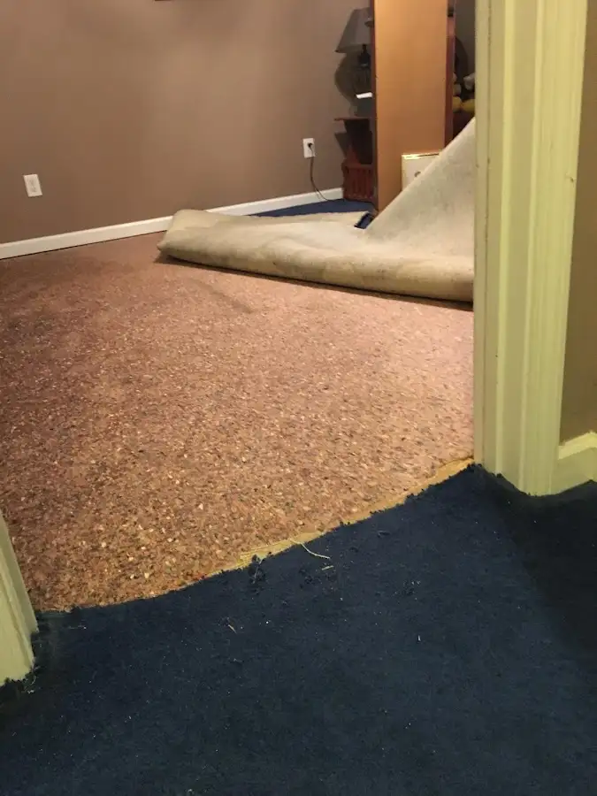 Carpet pad removal revealing water damage during Water Mitigation Services in Goddard