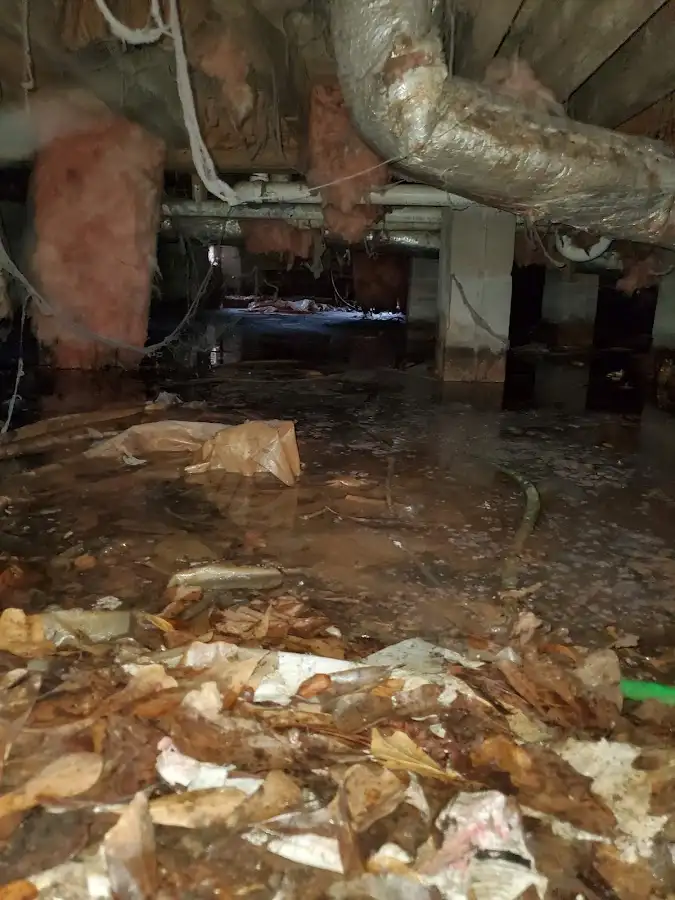 Crawl space flood assessment for Leak Detection & Repair in Goddard